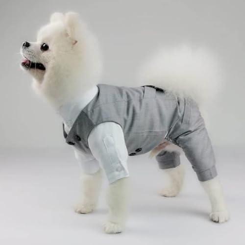MOLUO Haustier-Hochzeitskleidung Formale Hundemantel-Jacke Hundehochzeitsfest-Kostüm-Kleidung für kleine Hunde-Haustier-Kleidung von MOLUO