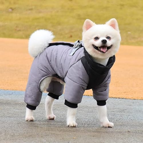 MOLUO Winter-Haustier-Hundekleidung, wasserdicht, warm, Welpenjacke, Dicker Overall für kleine große Hunde, Chihuahua, französische Bulldogge, Kleidung von MOLUO