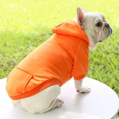 Winter-Hunde-Hoodie-Sweatshirts mit Taschen, Baumwolle, warme Hundekleidung für kleine Hunde, Chihuahua, Mantel, Kleidung, Welpen, Haustiere, Katze von MOLUO