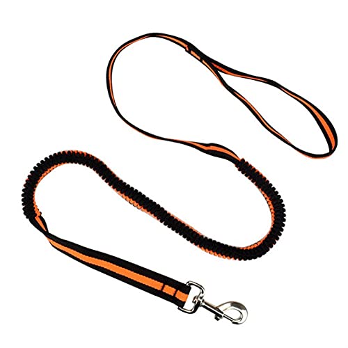 190 cm Anti-Dash Pull Hundeleine: einziehbare Leine für kleine Haustiere, Hamster und Kaninchen, Orange, 1,5 cm Breite 190 cm Anti-Dash Pull Hundeleine: einziehbare Leine für kleine Haustiere, Hamster und Kaninchen, Orange, 1,5 cm Breite von MOLVUS