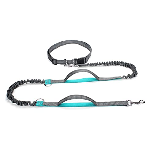 Ausziehbare Bungee-Hundeleine – Aqua Doppelgriff Leine für große Hunde auf der Flucht Ausziehbare Bungee-Hundeleine – Aqua Doppelgriff Leine für große Hunde auf der Flucht von MOLVUS