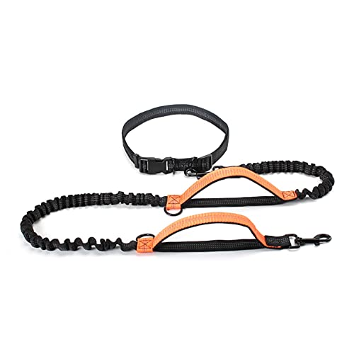 Ausziehbare Bungee-Hundeleine mit zwei Griffen, perfekt für große Hunde, Orange Ausziehbare Bungee-Hundeleine mit zwei Griffen, perfekt für große Hunde, Orange von MOLVUS