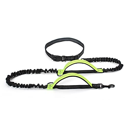 Ausziehbare Bungee-Hundeleine mit zwei Griffen für große Hunde, ideal zum Laufen, lebendiges grünes Design Ausziehbare Bungee-Hundeleine mit zwei Griffen für große Hunde, ideal zum Laufen, lebendiges grünes Design von MOLVUS