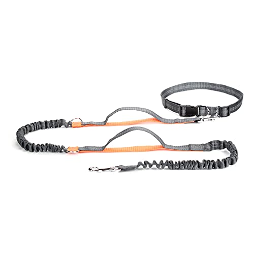 Ausziehbare Bungee-Hundeleine mit zwei Griffen für große Hunde, perfekt zum Laufen, Orange Ausziehbare Bungee-Hundeleine mit zwei Griffen für große Hunde, perfekt zum Laufen, Orange von MOLVUS