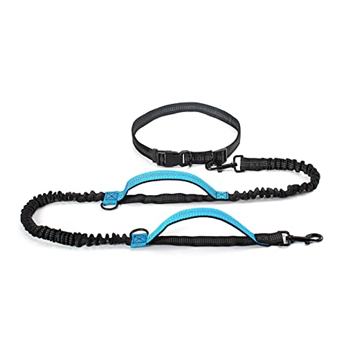 Ausziehbare Bungee-Leine mit zwei Griffen zum Laufen mit großen Hunden, Himmelblau Ausziehbare Bungee-Leine mit zwei Griffen zum Laufen mit großen Hunden, Himmelblau von MOLVUS