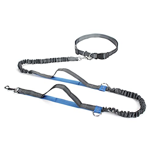 Einziehbare Laufleine mit Doppelgriff für große Hunde – Bungee-Leine in Blau Einziehbare Laufleine mit Doppelgriff für große Hunde – Bungee-Leine in Blau von MOLVUS