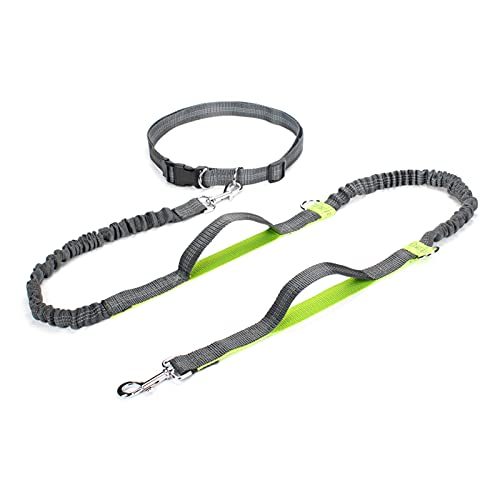 Grüne Bungee-Leine mit zwei Griffen: einziehbare Hundeleine für große Hunde auf der Flucht Grüne Bungee-Leine mit zwei Griffen: einziehbare Hundeleine für große Hunde auf der Flucht von MOLVUS