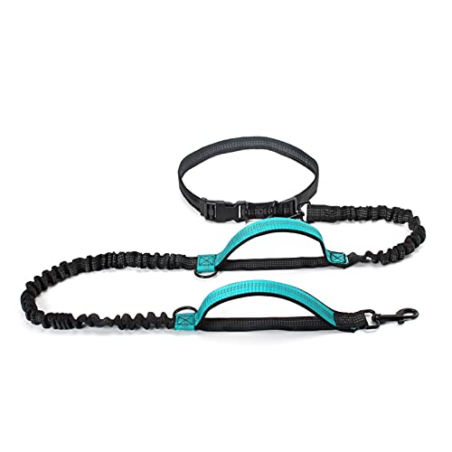 Türkisfarbene Hundeleine: einziehbare und doppelte Griff-Bungee-Leine für große Hunde, ideal zum Laufen Türkisfarbene Hundeleine: einziehbare und doppelte Griff-Bungee-Leine für große Hunde, ideal zum Laufen von MOLVUS