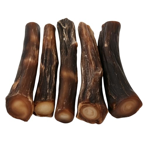 MOLY Ochsenschwanz 12-14 cm lang für Hunde | Hundesnack | Kalbfleisch | Verbesserung der Mundgesundheit, Zähne und Zähne | Leckerli-Preis von Moly