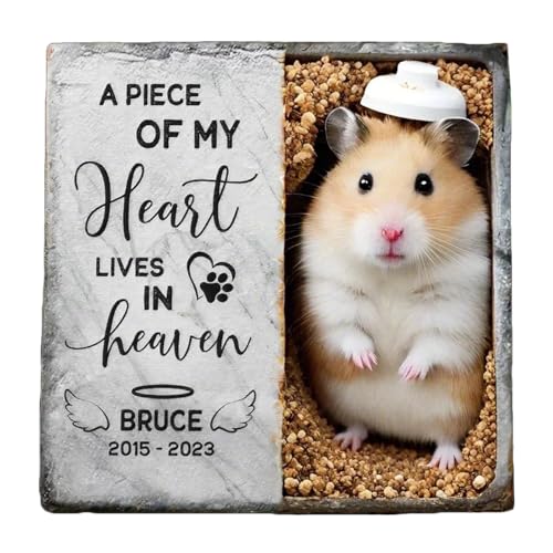 MOMGEGE Personalisierter Tiergrabstein mit Foto und Gravur – Naturstein Gedenktafel für Hund, Katze und Haustiere – Grabplatte/Grabstein für Garten oder Innenbereich (Quadrat-I, 10 * 10cm) von MOMGEGE