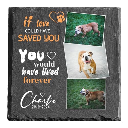 MOMGEGE Personalisierter Tiergrabstein mit Foto und Gravur – Naturstein Gedenktafel für Hund, Katze und Haustiere – Grabplatte/Grabstein für Garten oder Innenbereich (Quadrat-K, 15 * 15cm) von MOMGEGE