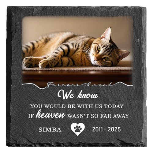 MOMGEGE Tiergrabstein Personalisiert mit Foto Text – Naturstein Gedenktafel Grabplatte für Hund, Katze andere Haustiere – Wetterfest für Garten Zuhause (Quadrat-003) von MOMGEGE