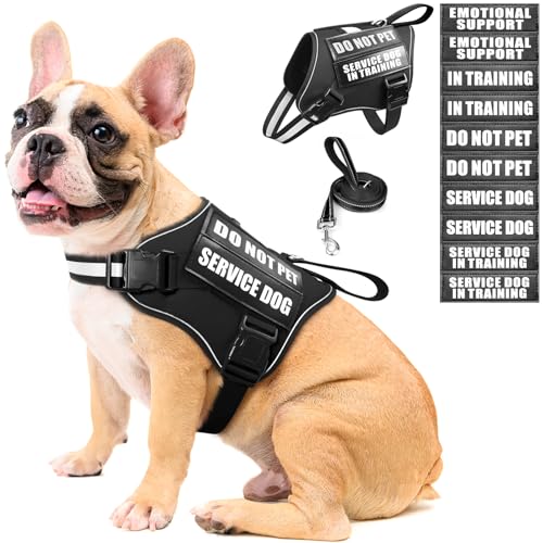 MOOGROU Service Dog Vest Harness and Leash Set + 10 Patches, No Pull & Easy Walk Reflective Dog Harness with Soft Padded Handle for Training/Everyday, Fit Small/Medium/Large/Extra Large Dogs(Black M) MOOGROU Service Dog Vest Harness and Leash Set + 10 Patches, No Pull & Easy Walk Reflective Dog Harness with Soft Padded Handle for Training/Everyday, Fit Small/Medium/Large/Extra Large Dogs(Black M) von MOOGROU