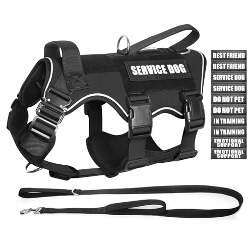 MOOGROU Taktisches Diensthunde-Set mit Weste und Leine, strapazierfähiges Geschirr mit Metallschnallen für große Hunde, verstellbar, kein Ziehen, Haustierweste mit 10 Patches, für Training, Arbeit MOOGROU Taktisches Diensthunde-Set mit Weste und Leine, strapazierfähiges Geschirr mit Metallschnallen für große Hunde, verstellbar, kein Ziehen, Haustierweste mit 10 Patches, für Training, Arbeit von MOOGROU