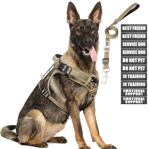 MOOGROU Taktisches Geschirr und Leine für große Hunde, robuste Weste gegen Ziehen für Diensthunde und 10 Patches mit Sicherheitsgurt für Hunde, verstellbar, reflektierend, für Haustiere MOOGROU Taktisches Geschirr und Leine für große Hunde, robuste Weste gegen Ziehen für Diensthunde und 10 Patches mit Sicherheitsgurt für Hunde, verstellbar, reflektierend, für Haustiere von MOOGROU