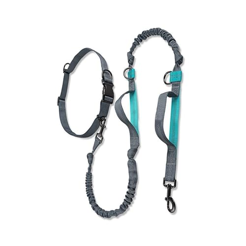 Hundeleine, freihändig, 160–260 cm, elastisches Bungees, einziehbares Seil für mittelgroße und große Hunde, reflektierende Nähte Hundeleine, freihändig, 160–260 cm, elastisches Bungees, einziehbares Seil für mittelgroße und große Hunde, reflektierende Nähte von MOOKEENONE