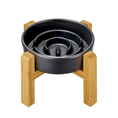 MOPANG Erhöhte Keramik-Slow-Feeder-Hundenäpfe für Kleine Rassen, Antischlingnapf für Katze und Kleine Hunde, Langsame Fütterung für Hunde Klein, Ø 16cm, 400ml, Dunkelgrau1 MOPANG Erhöhte Keramik-Slow-Feeder-Hundenäpfe für Kleine Rassen, Antischlingnapf für Katze und Kleine Hunde, Langsame Fütterung für Hunde Klein, Ø 16cm, 400ml, Dunkelgrau1 von MOPANG