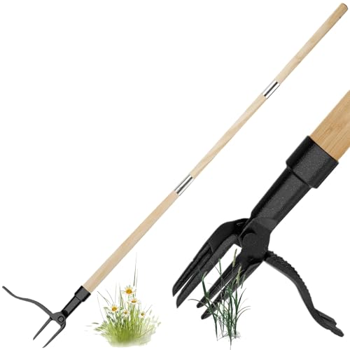 MOREASE Vordpe Stand Up Unkrautzieherm, Hand Unkrautabzieher Werkzeug für den Garten, Aufstehen 100 cm abnehmbares Dreiteiliger Holzstab 4 Krallen, for Rasen Werkzeug für Garten/Patio/Hinterhof von MOREASE