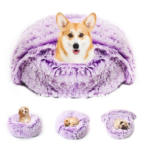 3-in-1-Hundebetten für kleine Hunde, mit angenähter Decke und abnehmbarem Bezug, flauschiger Donut-Katzenbett, waschbar, rund (lila, klein) von MORFORU