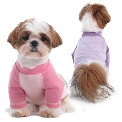 2er-Pack Hemden für Hunde, Raglanärmel, Haustier-Shirt, kleine weiche Hunde-Shirts, blaue und grüne T-Shirts für kleine Hunde und Jungen, Hemden mit langen Ärmeln, geeignet für alle Jahreszeiten, 2er-Pack Hemden für Hunde, Raglanärmel, Haustier-Shirt, kleine weiche Hunde-Shirts, blaue und grüne T-Shirts für kleine Hunde und Jungen, Hemden mit langen Ärmeln, geeignet für alle Jahreszeiten, von MORVIGIVE