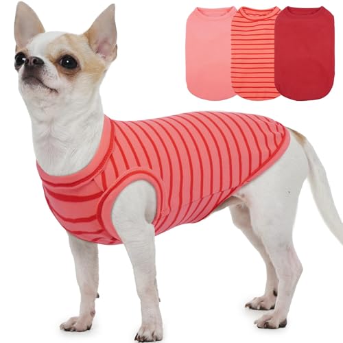 Fleece-Pullover für kleine Hunde, Rot, Größe S, klassischer Pullover, leicht, atmungsaktiv, für Welpen, Spaziergänge im Freien, Chihuahua-Sweatshirt, weich, warm für den täglichen Gebrauch, 3er-Pack Fleece-Pullover für kleine Hunde, Rot, Größe S, klassischer Pullover, leicht, atmungsaktiv, für Welpen, Spaziergänge im Freien, Chihuahua-Sweatshirt, weich, warm für den täglichen Gebrauch, 3er-Pack von MORVIGIVE