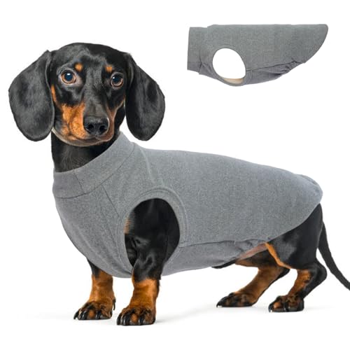 Fleece-Weste für Hunde, Grau, L, warmer Pullover, dehnbar, großes Sweatshirt, leichte Jacke für mittelgroße Hunde, Dackel und französische Bulldogge, Mini-Schnauzer Fleece-Weste für Hunde, Grau, L, warmer Pullover, dehnbar, großes Sweatshirt, leichte Jacke für mittelgroße Hunde, Dackel und französische Bulldogge, Mini-Schnauzer von MORVIGIVE