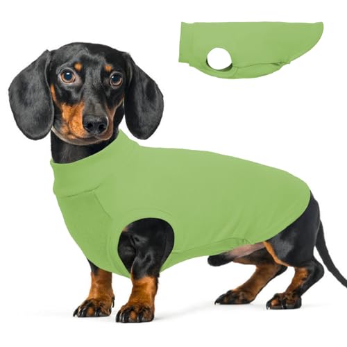 Fleece-Weste für Hunde - Grün, XL - Pullover Hundepullover, warm, dehnbar, Wintermantel, Dackel & Beagle Jacke Fleece-Weste für Hunde - Grün, XL - Pullover Hundepullover, warm, dehnbar, Wintermantel, Dackel & Beagle Jacke von MORVIGIVE