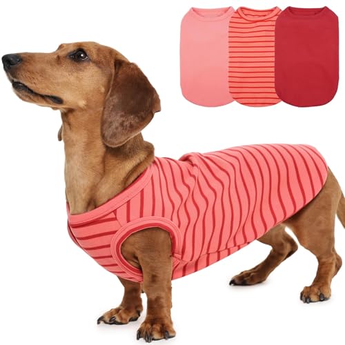 Hunde-Fleeceweste, Rot, M, klassisch gestreift, weicher Pullover für kleine Hunde und Mädchen, dehnbarer, leichter Pullover für Spaziergänge im Freien, zum Entspannen drinnen und draußen, 3er-Pack Hunde-Fleeceweste, Rot, M, klassisch gestreift, weicher Pullover für kleine Hunde und Mädchen, dehnbarer, leichter Pullover für Spaziergänge im Freien, zum Entspannen drinnen und draußen, 3er-Pack von MORVIGIVE