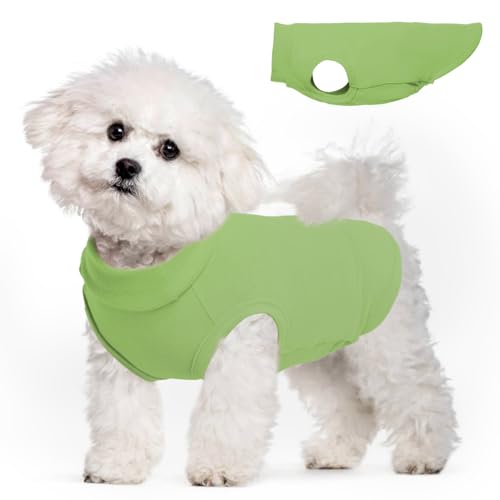 Hunde-Fleeceweste, grün, Größe M – Pullover, warme Hundeweste, dehnbar, Sweatshirt für kleine Hunde, leichte Hunde-Winterjacke, kleine Hundepullover für Jungen, Havaneser, Shih Tzu, Papillon Hunde-Fleeceweste, grün, Größe M – Pullover, warme Hundeweste, dehnbar, Sweatshirt für kleine Hunde, leichte Hunde-Winterjacke, kleine Hundepullover für Jungen, Havaneser, Shih Tzu, Papillon von MORVIGIVE