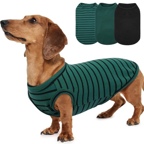 Hunde-Fleeceweste, klassisch, gestreift, einfarbig, weich, für kleine Hunde, dehnbarer, leichter Pullover für Outdoor-Kälteschutz, Grün, M, 3er-Pack Hunde-Fleeceweste, klassisch, gestreift, einfarbig, weich, für kleine Hunde, dehnbarer, leichter Pullover für Outdoor-Kälteschutz, Grün, M, 3er-Pack von MORVIGIVE