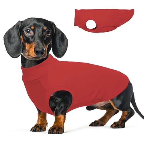 Hunde-Fleeceweste – Rot, Größe L – warmer Hundepullover, dehnbares Sweatshirt für große Hunde, leichte Hundejacken für mittelgroße Hunde, Dackelkleidung, Pullover für französische Bulldogge, Hunde-Fleeceweste – Rot, Größe L – warmer Hundepullover, dehnbares Sweatshirt für große Hunde, leichte Hundejacken für mittelgroße Hunde, Dackelkleidung, Pullover für französische Bulldogge, von MORVIGIVE