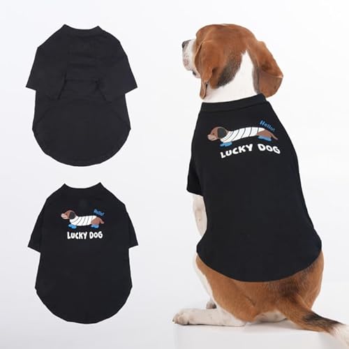 Hunde-Shirts, Haustier-Shirts für mittelgroße Hunde, leicht, mit Ärmeln, niedlicher Druck, für alle Jahreszeiten, weich, atmungsaktiv, maschinenwaschbar, Schwarz, Größe XL Hunde-Shirts, Haustier-Shirts für mittelgroße Hunde, leicht, mit Ärmeln, niedlicher Druck, für alle Jahreszeiten, weich, atmungsaktiv, maschinenwaschbar, Schwarz, Größe XL von MORVIGIVE
