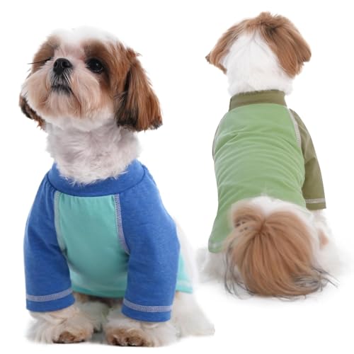 Hunde-Shirts, schnell trocknende Raglanärmel, weiches T-Shirt, Blau und Grün, für kleine und mittelgroße Hunde, Jungen, langärmelig, geeignet für alle Jahreszeiten, Blau, Größe XS, 2er-Pack Hunde-Shirts, schnell trocknende Raglanärmel, weiches T-Shirt, Blau und Grün, für kleine und mittelgroße Hunde, Jungen, langärmelig, geeignet für alle Jahreszeiten, Blau, Größe XS, 2er-Pack von MORVIGIVE