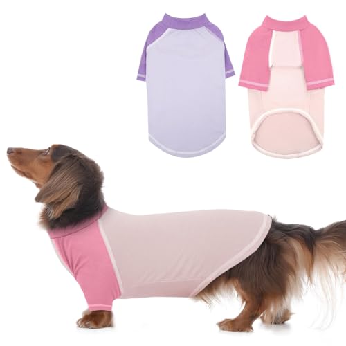 Hunde-Shirts, schnelltrocknende Raglanärmel, mittelgroß, weich, blau-grüne T-Shirts für kleine Hunde, Haustier-T-Shirts mit langen Ärmeln für alle Jahreszeiten, Blau, Größe M, 2er-Pack Hunde-Shirts, schnelltrocknende Raglanärmel, mittelgroß, weich, blau-grüne T-Shirts für kleine Hunde, Haustier-T-Shirts mit langen Ärmeln für alle Jahreszeiten, Blau, Größe M, 2er-Pack von MORVIGIVE