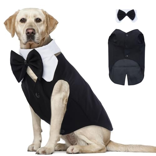 Hunde-Smoking und Bandana-Set, Schwarz, XL – Hochzeitsparty-Kleidung, Fliege Anzug für Jungen, 2 Stück/Packung, Geburtstagstücher für Beagle, Corgi von MORVIGIVE