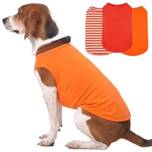 Hunde-T-Shirt, ärmellos, leicht, für mittelgroße Hunde und Mädchen, für Frühling und Sommer, gemütlich, atmungsaktiv, für den täglichen Gebrauch, reduziert Haarausfall, Orange, Größe XL, 3er-Pack Hunde-T-Shirt, ärmellos, leicht, für mittelgroße Hunde und Mädchen, für Frühling und Sommer, gemütlich, atmungsaktiv, für den täglichen Gebrauch, reduziert Haarausfall, Orange, Größe XL, 3er-Pack von MORVIGIVE