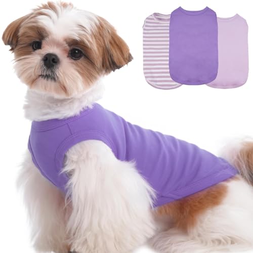 Hunde-T-Shirts für kleine Hunde, ärmelloses Hemden-Set für Frühling, Sommer, Sonne, Insektenschutz, leicht für Spaziergänge im Park, gestreiftes und solides Tank-Top-Set, 3er-Pack, Violett (Violett, S Hunde-T-Shirts für kleine Hunde, ärmelloses Hemden-Set für Frühling, Sommer, Sonne, Insektenschutz, leicht für Spaziergänge im Park, gestreiftes und solides Tank-Top-Set, 3er-Pack, Violett (Violett, S von MORVIGIVE