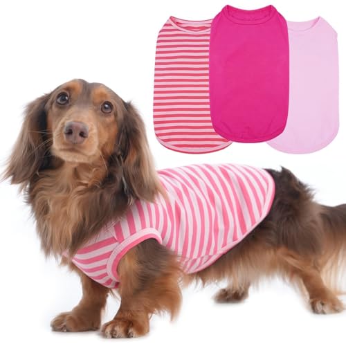 Hunde-T-Shirts für kleine Hunde, mittelgroß, ärmellos, Dackel-Motiv für regnerisches Wetter, hält die Körperwärme nach dem Laufen, leichtes Hemd, Grasschutz, Haut (Rosa, M) von MORVIGIVE