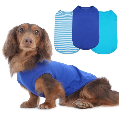 Hunde-T-Shirts für kleine Hunde, mittelgroß, ärmellos, leicht, für Sommer, Outdoor, Frühling, Picknick, Sonnenschutz, gemütliche Dackelkleidung, Blau, Größe M, 3er-Pack Hunde-T-Shirts für kleine Hunde, mittelgroß, ärmellos, leicht, für Sommer, Outdoor, Frühling, Picknick, Sonnenschutz, gemütliche Dackelkleidung, Blau, Größe M, 3er-Pack von MORVIGIVE