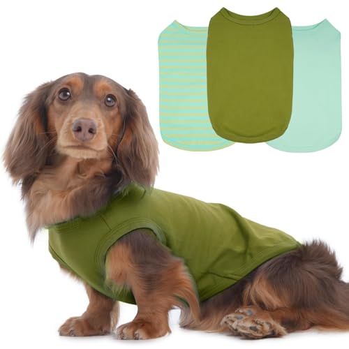 Hunde-T-Shirts für kleine Hunde, mittelgroß, ärmellos, leicht, für den Sommer, Outdoor, Frühlingspicknick, Sonnenschutz, Frühlingsfarben, Dackel (Grün, M) von MORVIGIVE