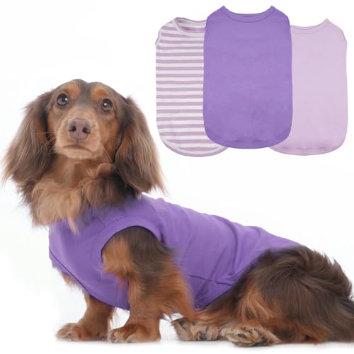 Hunde-T-Shirts für kleine Hunde, mittelgroß, ärmelloses Dackel-Oberteil für regnerisches Wetter, hält die Körperwärme nach dem Laufen, leichtes Hemd, Grasschutz, Haut (Violett, M) von MORVIGIVE