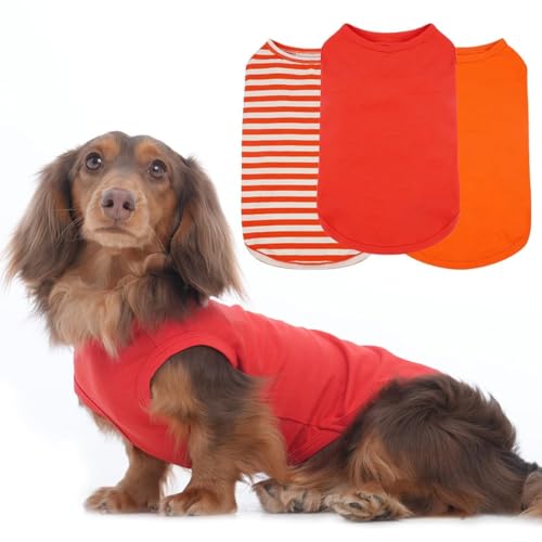 Hunde-T-Shirts für mittelgroße Hunde, ärmellos, leicht, Sonnenschutz, saugfähig, für Parkspaziergänge, für den Innenbereich, hält warm für Urlaubsparty (Orange, M) von MORVIGIVE