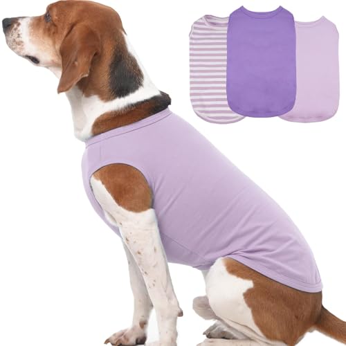 Hunde-T-Shirts für mittelgroße Hunde, leicht, ärmellos, für Frühling und Sommer, für drinnen und draußen, atmungsaktiv und leicht, niedliches Party-Fotokleid, Violett, Größe XL, 3er-Pack Hunde-T-Shirts für mittelgroße Hunde, leicht, ärmellos, für Frühling und Sommer, für drinnen und draußen, atmungsaktiv und leicht, niedliches Party-Fotokleid, Violett, Größe XL, 3er-Pack von MORVIGIVE