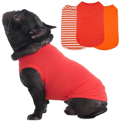 Hunde-T-Shirts für mittelgroße Hunde und Mädchen, ärmellos, leicht, französische Bulldogge, Frühjahr, Sommer, Innenbereich, hält Körperwärme, Sonnenschutz, Parks, Ausflüge, Orange, L, 3er-Pack Hunde-T-Shirts für mittelgroße Hunde und Mädchen, ärmellos, leicht, französische Bulldogge, Frühjahr, Sommer, Innenbereich, hält Körperwärme, Sonnenschutz, Parks, Ausflüge, Orange, L, 3er-Pack von MORVIGIVE