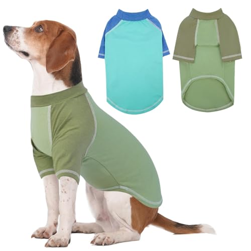 Hunde-T-Shirts mit Raglanärmeln, Größe XL, gemütliches Frühlingshemd, Hellblau, Grün, für mittelgroße Hunde und Jungen, langärmelig, geeignet für alle Jahreszeiten, Blau, Größe XL, 2er-Pack Hunde-T-Shirts mit Raglanärmeln, Größe XL, gemütliches Frühlingshemd, Hellblau, Grün, für mittelgroße Hunde und Jungen, langärmelig, geeignet für alle Jahreszeiten, Blau, Größe XL, 2er-Pack von MORVIGIVE