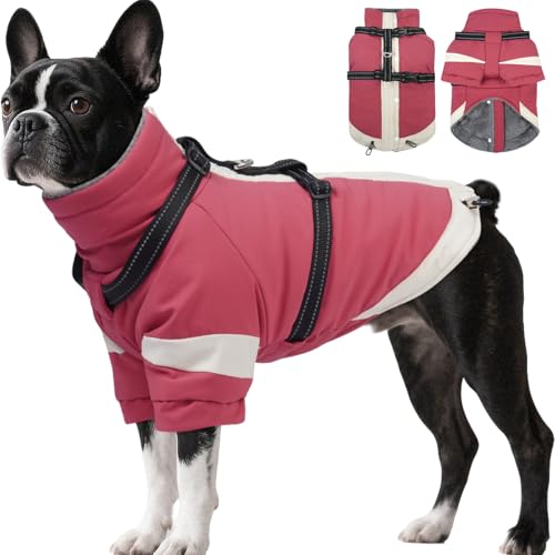 Hunde-Wintermantel mit verstellbarem, reflektierendem Geschirr, integriert, Größe M, Rollkragenmantel mit Ärmeln, für kleine Hunde und Mädchen, kaltes Wetter, warme Jacke für Jack Russel (Rosa) von MORVIGIVE