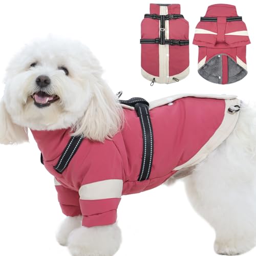 Hundemantel mit Rollkragen und integriertem Geschirr, Größe S, weiches warmes Futter, verstellbares, reflektierendes Geschirr für kleine Hunde, wasserabweisend, winddicht und kältebeständig, Rosa Hundemantel mit Rollkragen und integriertem Geschirr, Größe S, weiches warmes Futter, verstellbares, reflektierendes Geschirr für kleine Hunde, wasserabweisend, winddicht und kältebeständig, Rosa von MORVIGIVE