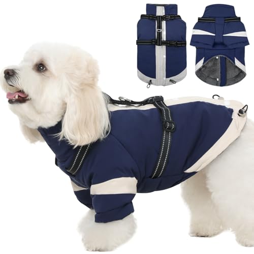 Hundemantel mit Rollkragen und integriertem Geschirr, Größe S, weiches warmes Futter, verstellbares, reflektierendes Geschirr für kleine Hunde, wasserabweisend, winddicht und kältebeständig, Blau von MORVIGIVE