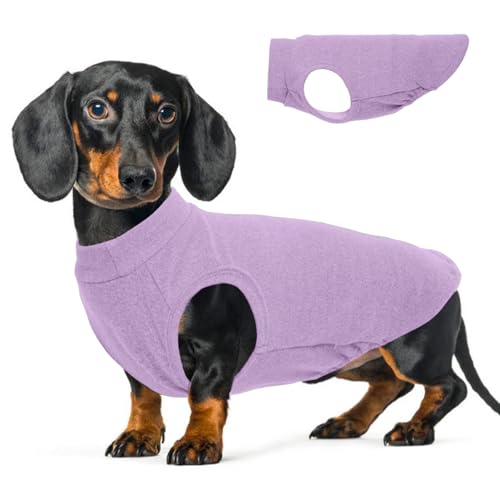 Hundepullover aus Stretch-Fleece, ärmellos, warm, dehnbar, leicht, atmungsaktiv, für Bewegung im Freien, Dackel, Französische Bulldogge, Lila, L von MORVIGIVE