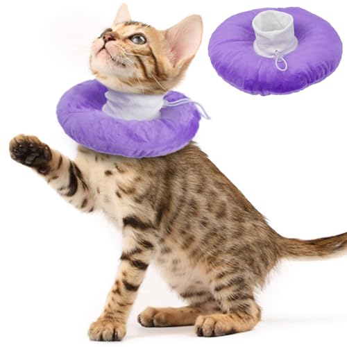 Katzenhalsband, weich, verstellbar und leicht, elisabethanisches Katzenhalsband, um Lecken nach Operationen zu stoppen, ideal für die Wunderholung, langlebig und maschinenwaschbar, Lila, Größe S von MORVIGIVE